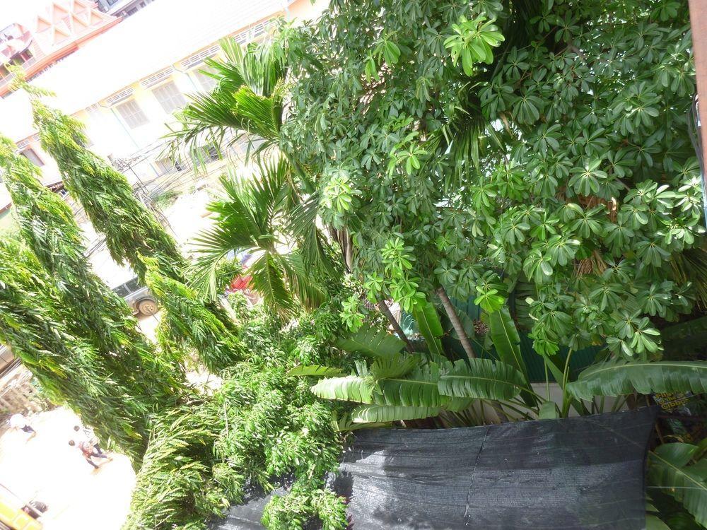 Angkor Reas Guesthouse เสียมราฐ ภายนอก รูปภาพ