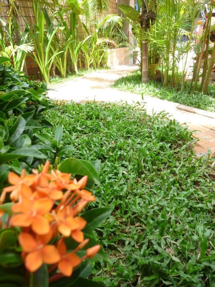 Angkor Reas Guesthouse เสียมราฐ ภายนอก รูปภาพ